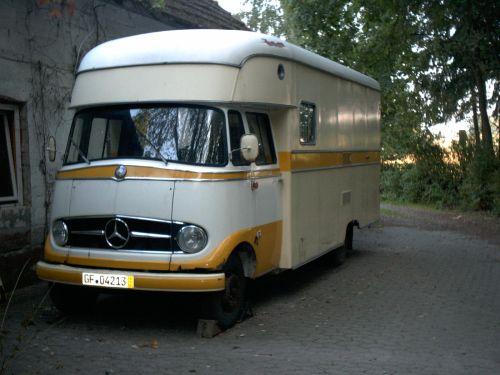 Bodos neue Liebe